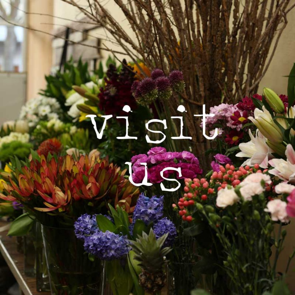 visit-us