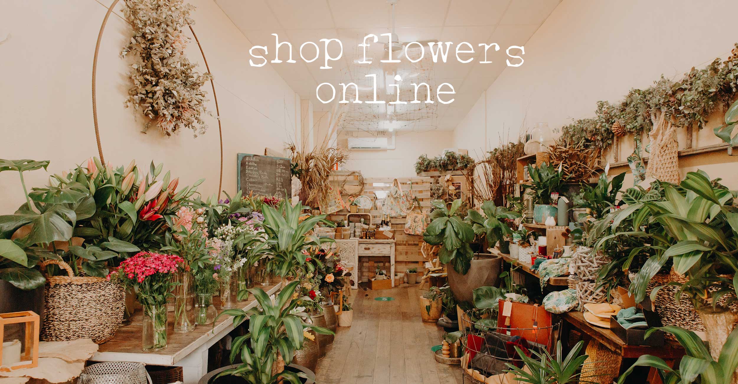 Home Gray Street Flowers