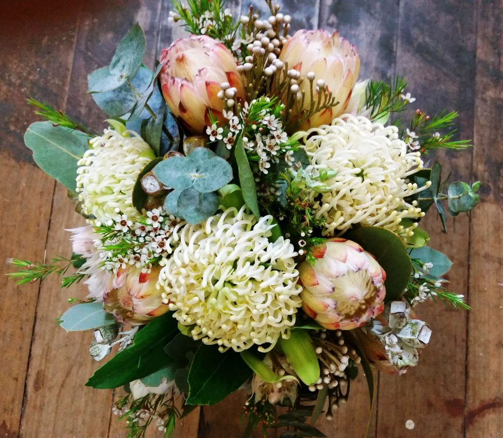 Proteas available from Gray St Flowers grown in South West Victoria